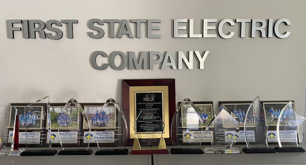 Delaware commercial electric company
